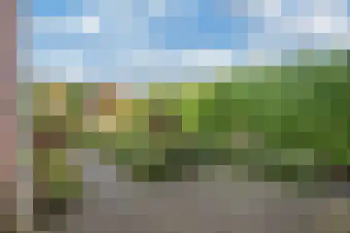 Wendakker 5 Nagele thumbnail 13