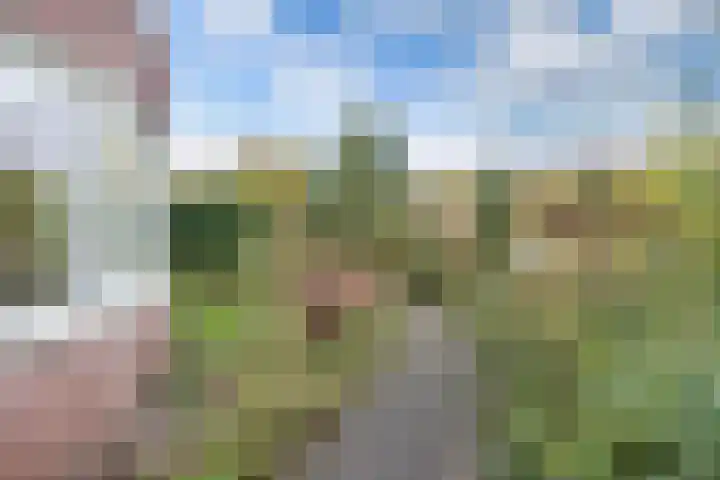 Wendakker 5 Nagele thumbnail 14