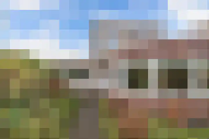 Wendakker 5 Nagele thumbnail 15