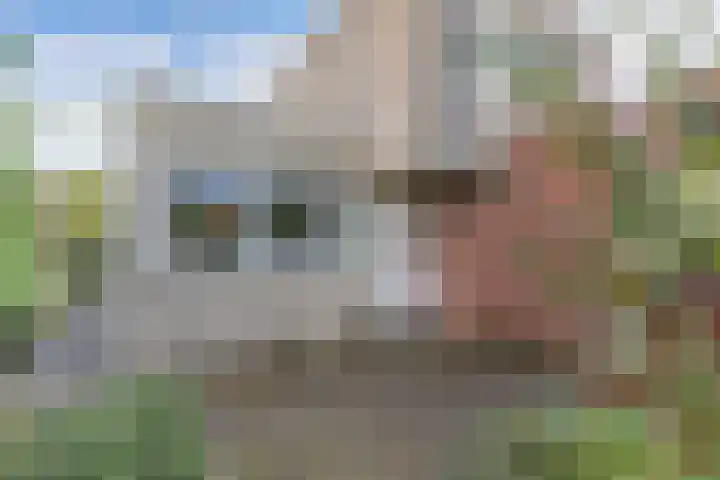 Wendakker 5 Nagele thumbnail 16