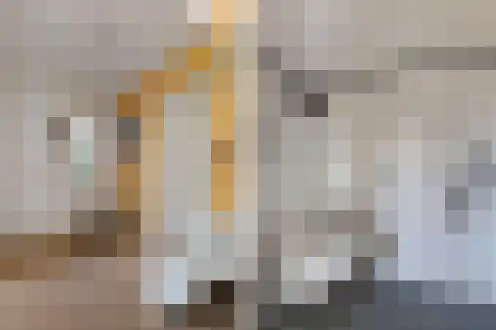 Wendakker 5 Nagele thumbnail 18
