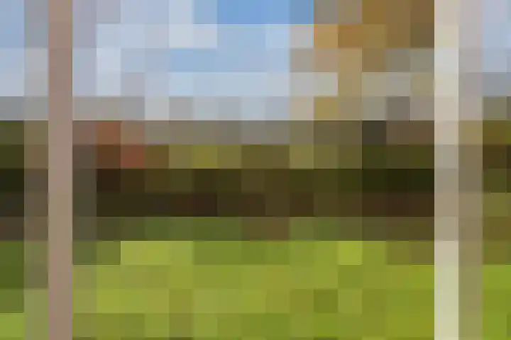 Wendakker 5 Nagele thumbnail 25