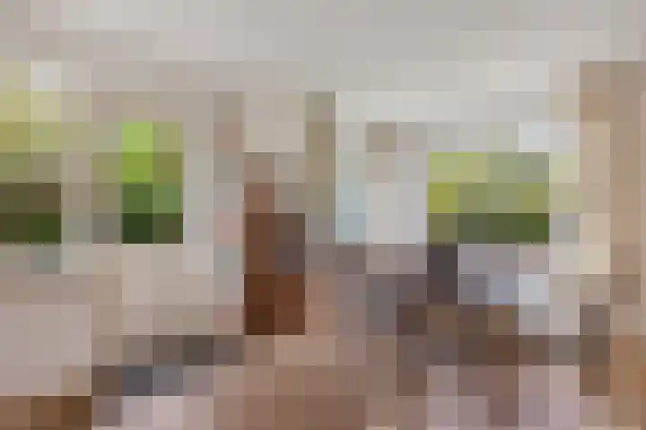 Wendakker 5 Nagele thumbnail 28