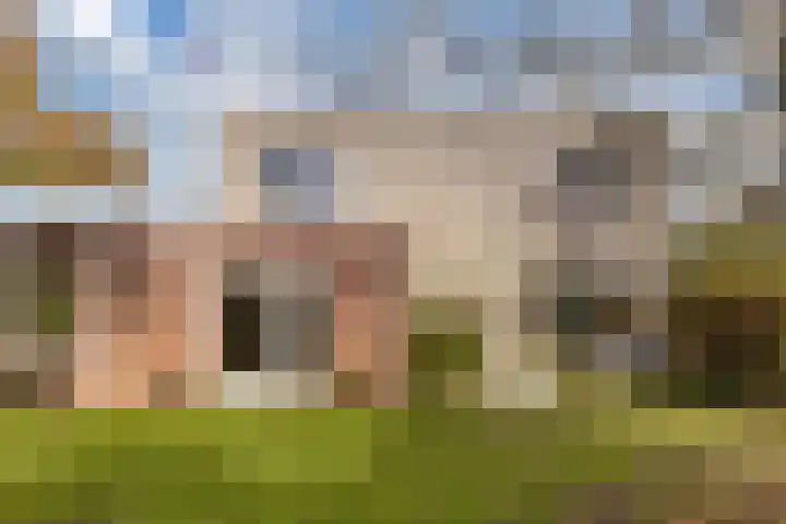 Wendakker 5 Nagele thumbnail 33