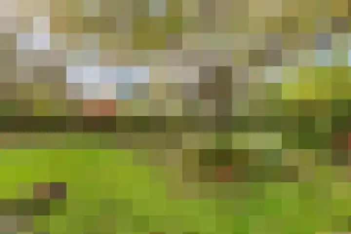 Wendakker 5 Nagele thumbnail 35