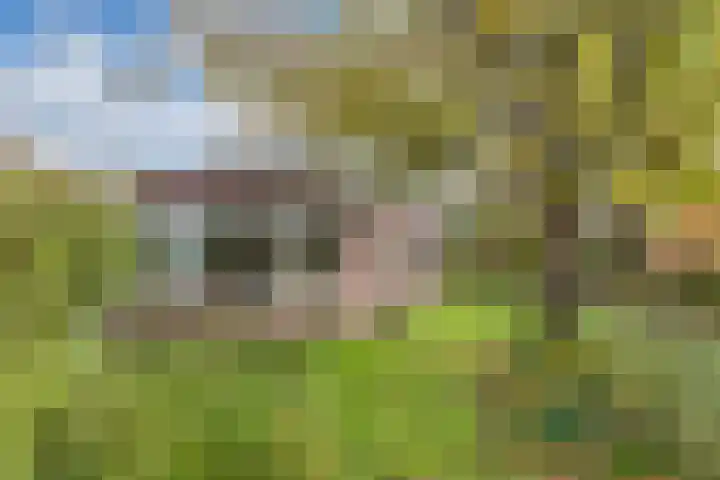 Wendakker 5 Nagele thumbnail 36
