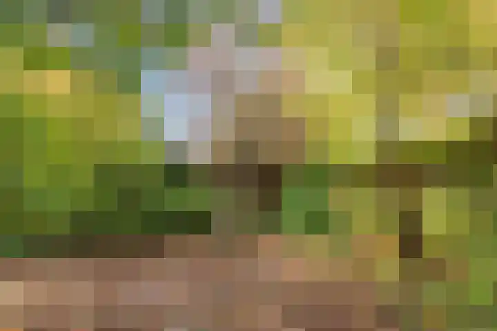 Wendakker 5 Nagele thumbnail 38
