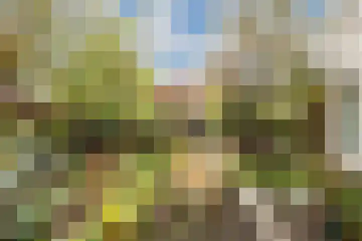 Wendakker 5 Nagele thumbnail 39