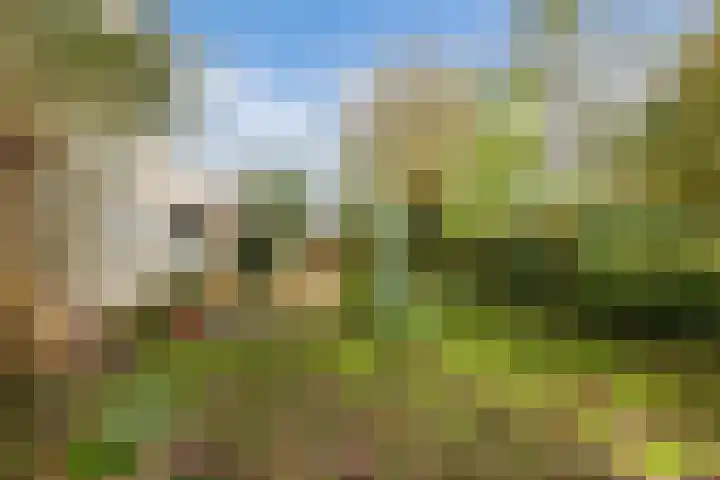 Wendakker 5 Nagele thumbnail 40
