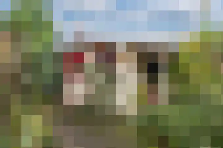Wendakker 5 Nagele thumbnail 41