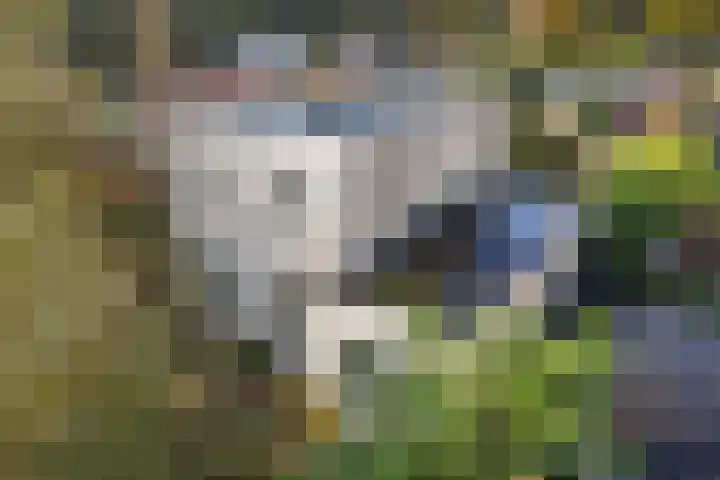 Wendakker 5 Nagele thumbnail 42