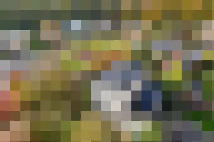 Wendakker 5 Nagele thumbnail 43