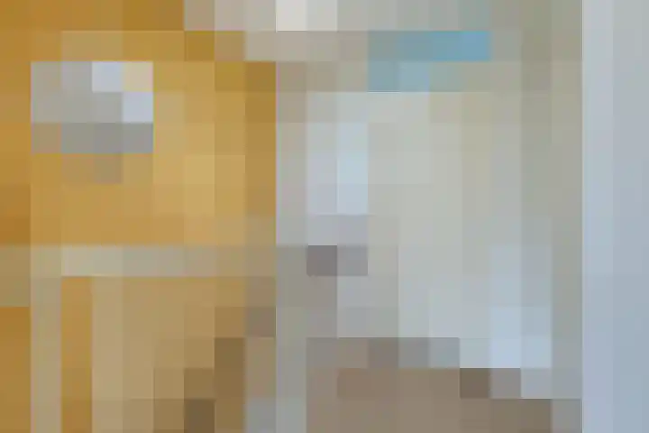 Wendakker 5 Nagele thumbnail 44