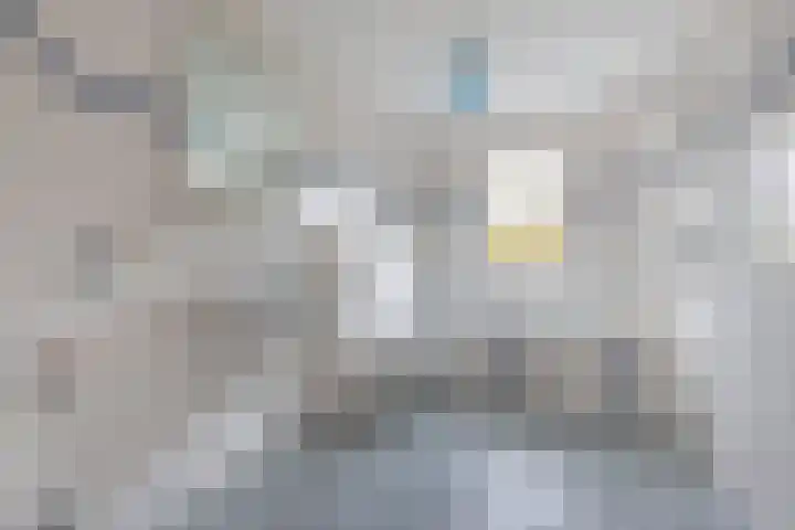 Wendakker 5 Nagele thumbnail 51