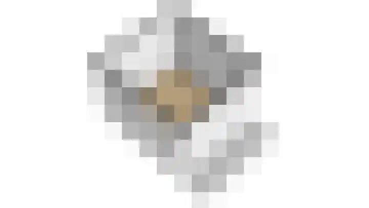Wendakker 5 Nagele thumbnail 59