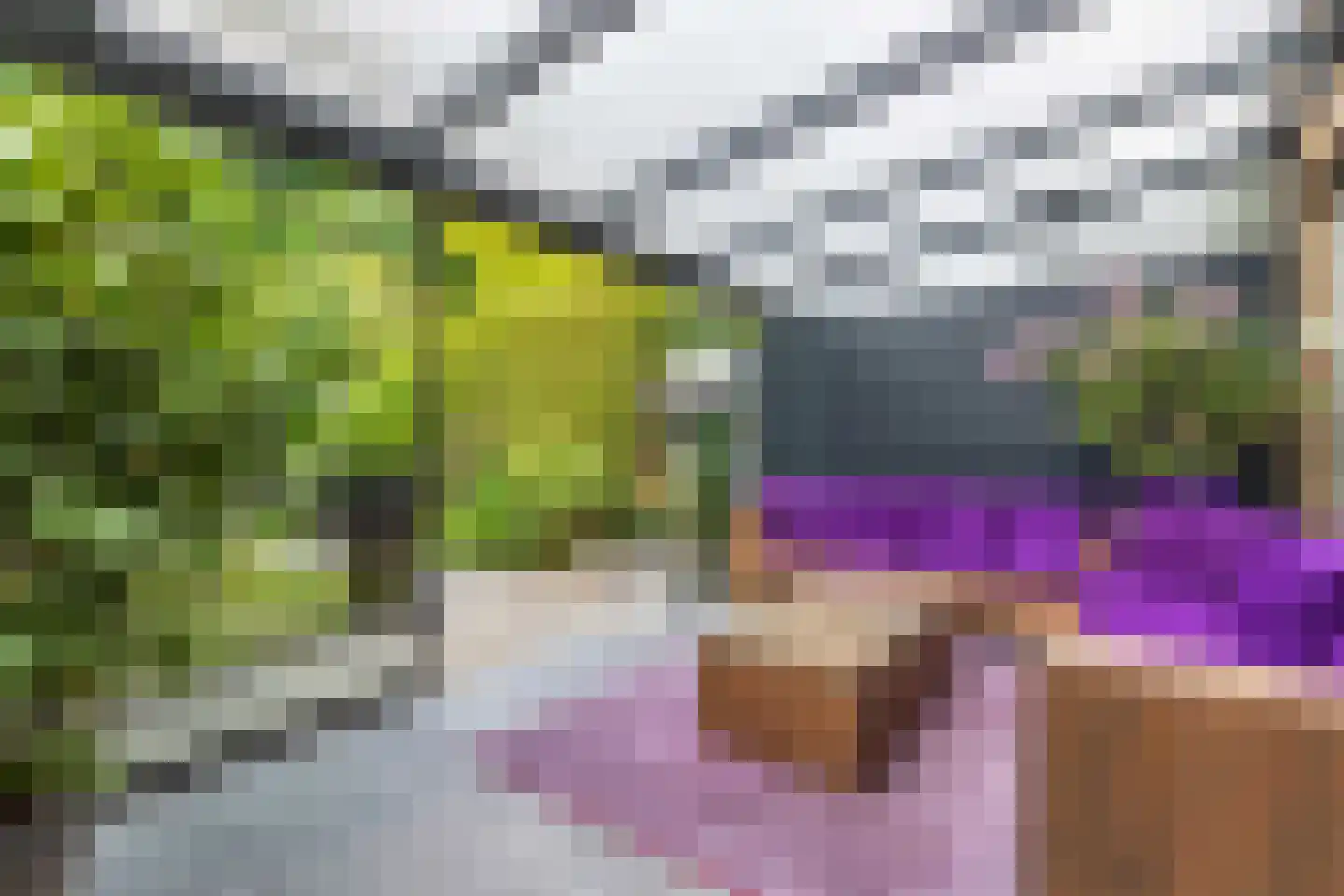 Wendakker 66 Nagele thumbnail 35
