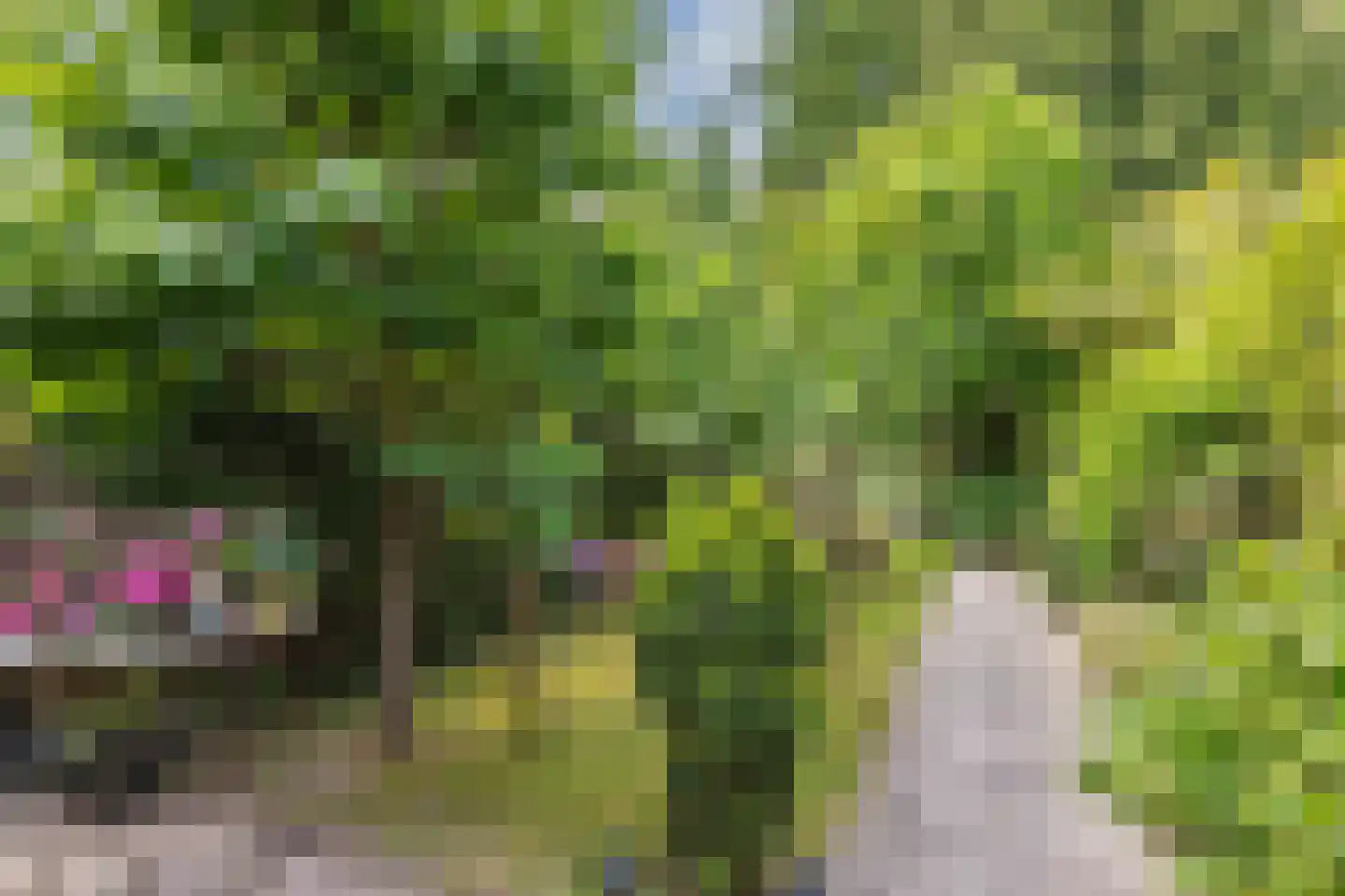 Wendakker 66 Nagele thumbnail 36