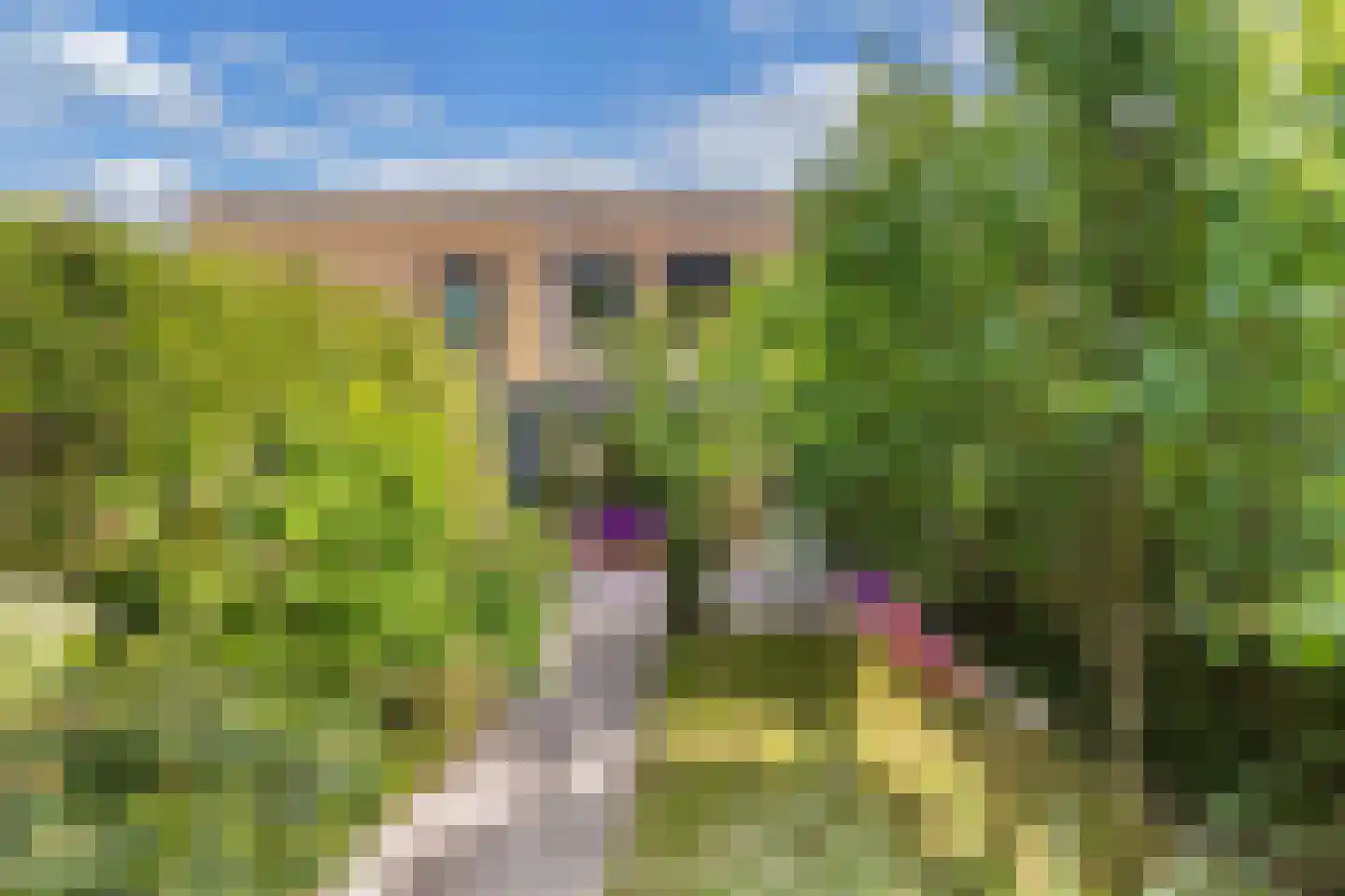 Wendakker 66 Nagele thumbnail 37