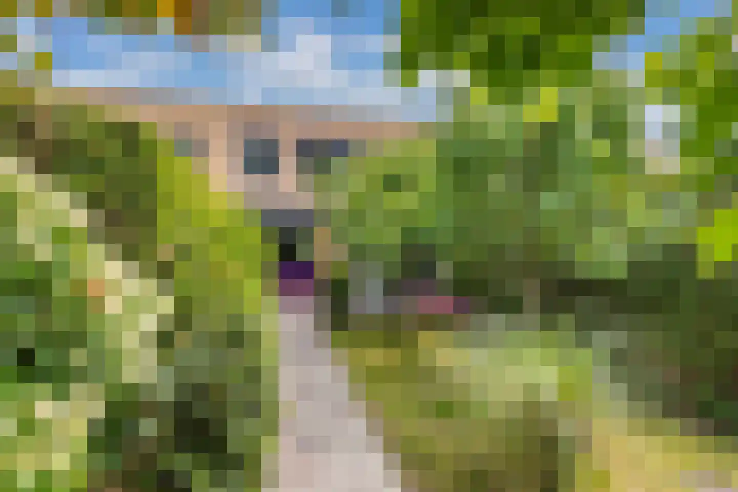Wendakker 66 Nagele thumbnail 38