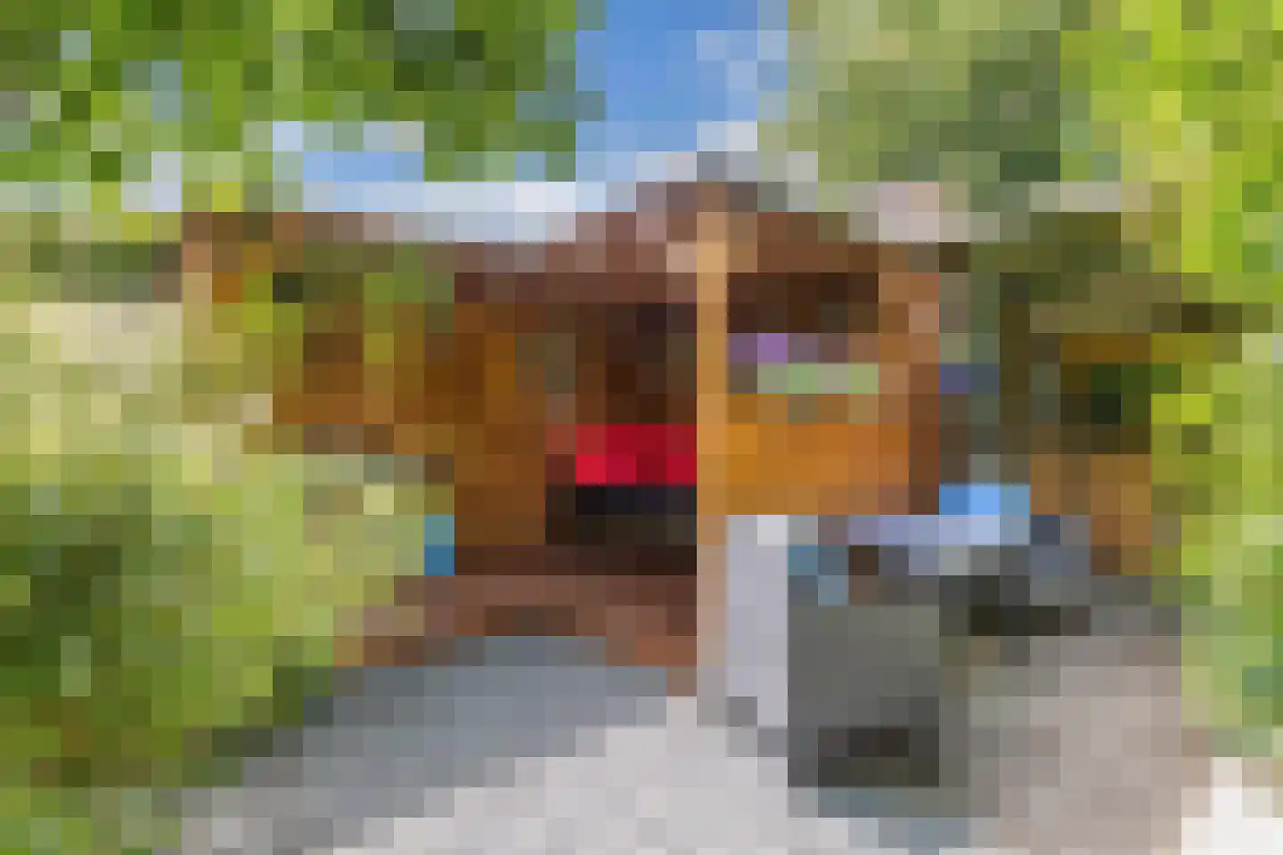Wendakker 66 Nagele thumbnail 39