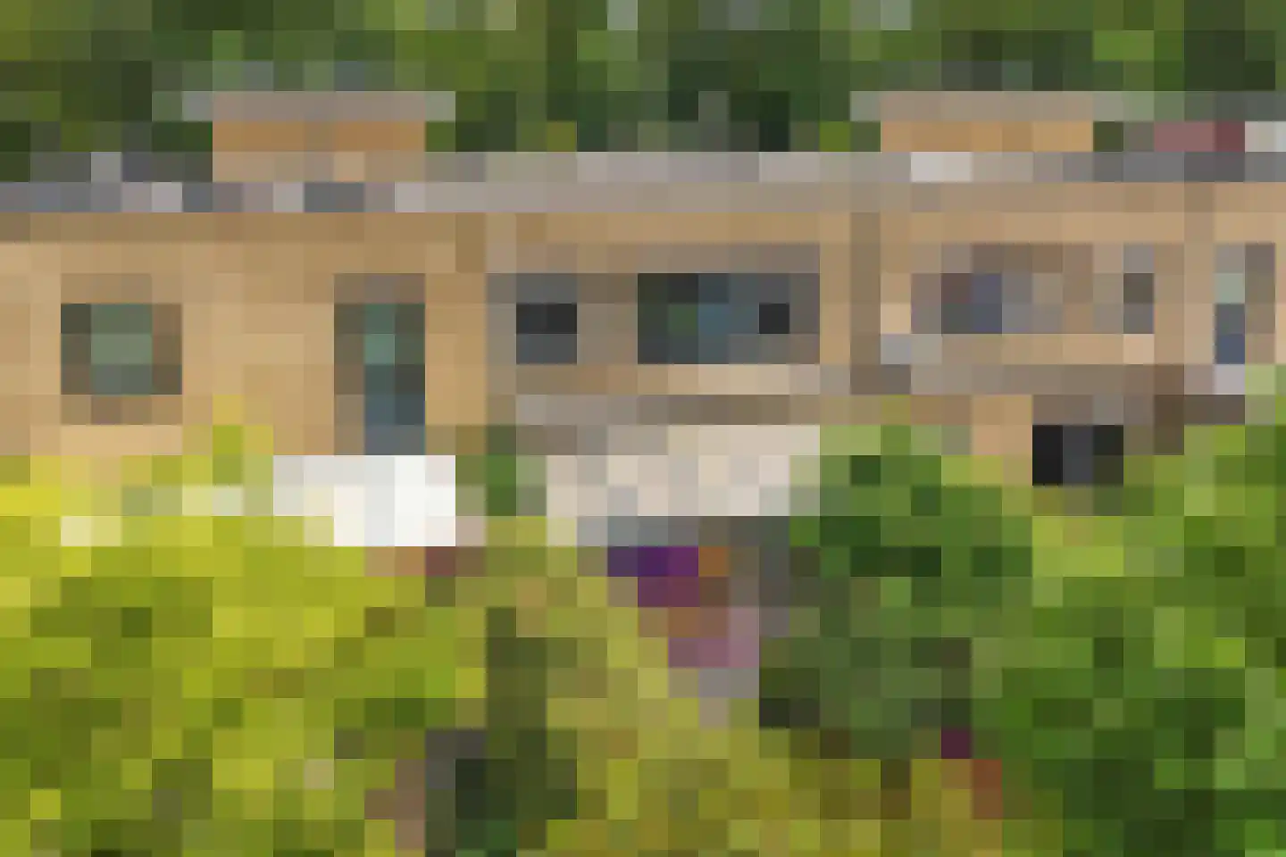 Wendakker 66 Nagele thumbnail 41