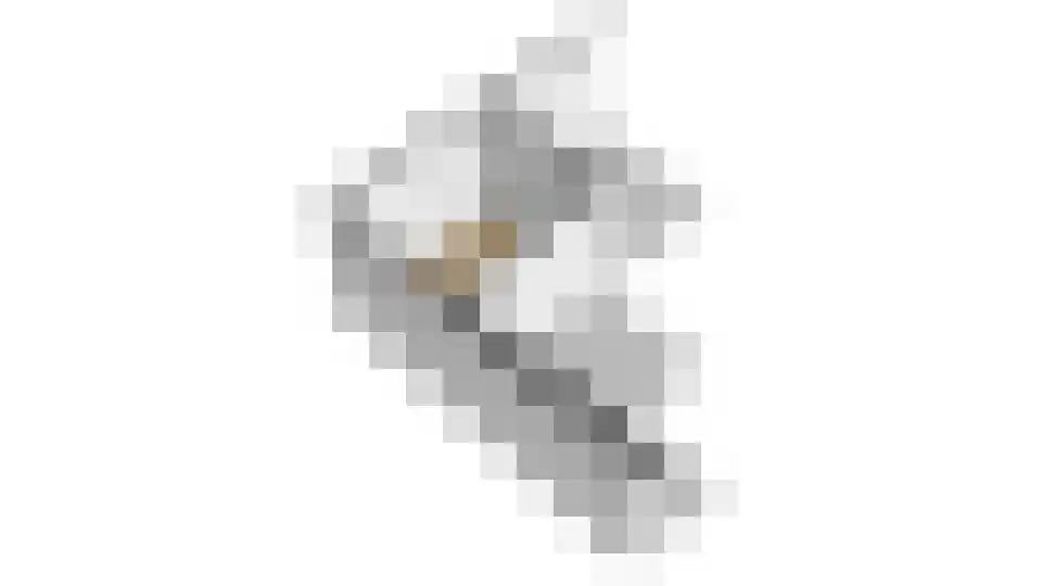 Wendakker 66 Nagele thumbnail 48