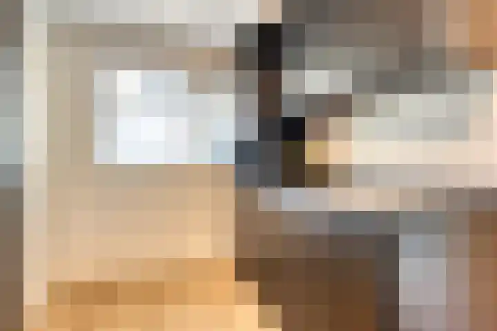 Wendakker 68 Nagele thumbnail 13