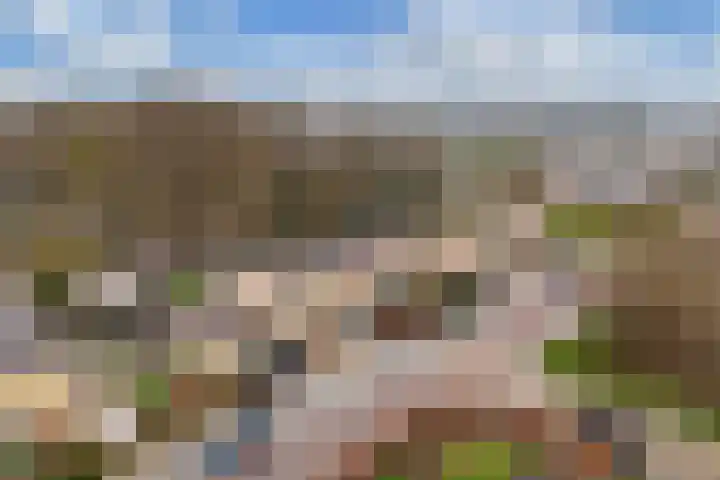Wendakker 68 Nagele thumbnail 15
