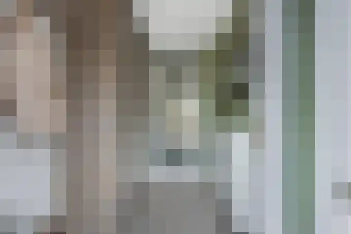 Wendakker 68 Nagele thumbnail 16