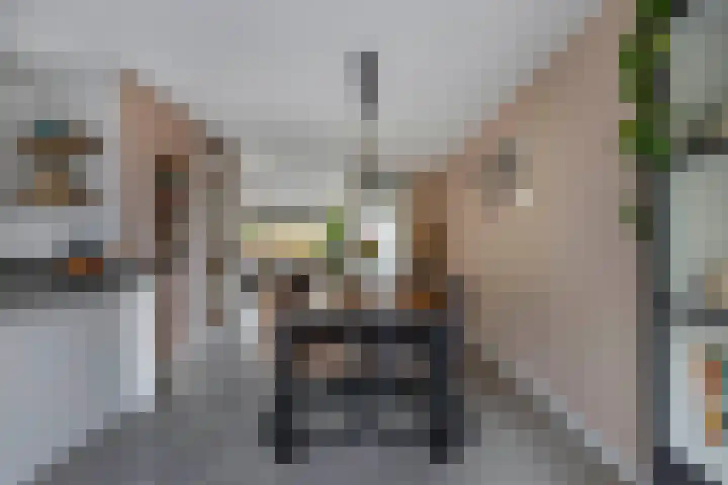 Wendakker 68 Nagele thumbnail 24