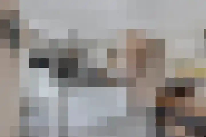 Wendakker 68 Nagele thumbnail 27