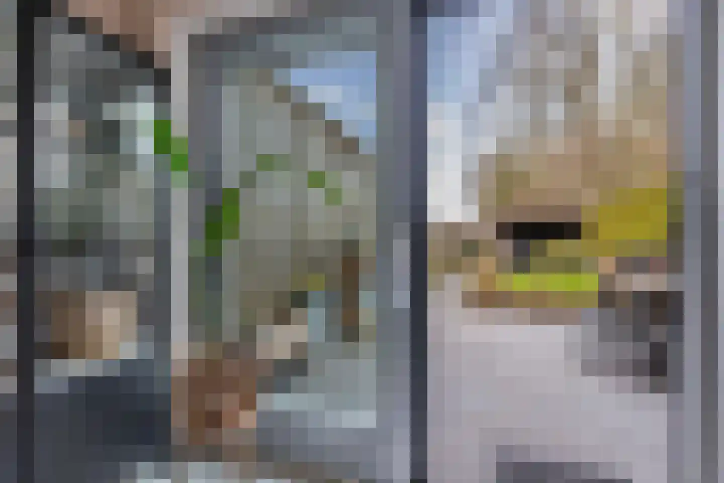 Wendakker 68 Nagele thumbnail 30