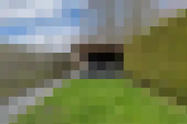 Wendakker 68 Nagele thumbnail 32