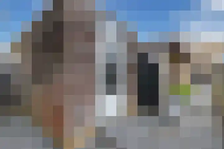 Wendakker 68 Nagele thumbnail 36