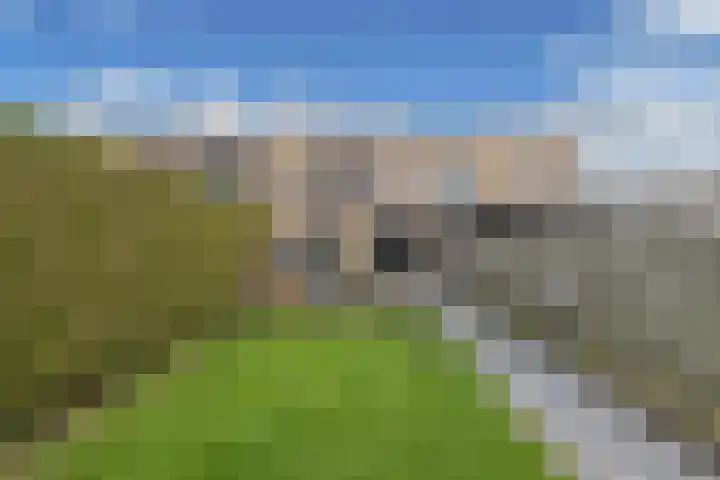 Wendakker 68 Nagele thumbnail 37