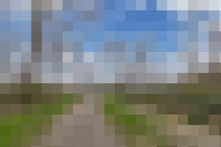Wendakker 68 Nagele thumbnail 38