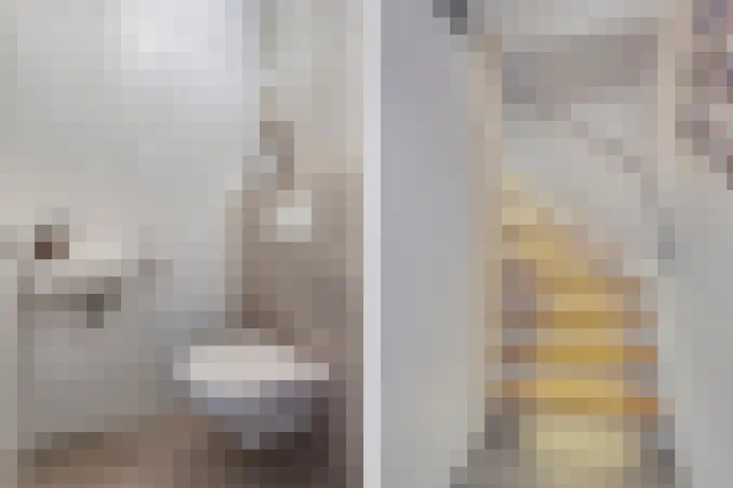 Wendakker 68 Nagele thumbnail 39