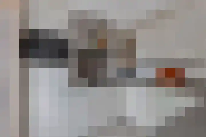 Wendakker 68 Nagele thumbnail 5