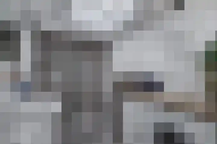 Wendakker 68 Nagele thumbnail 50