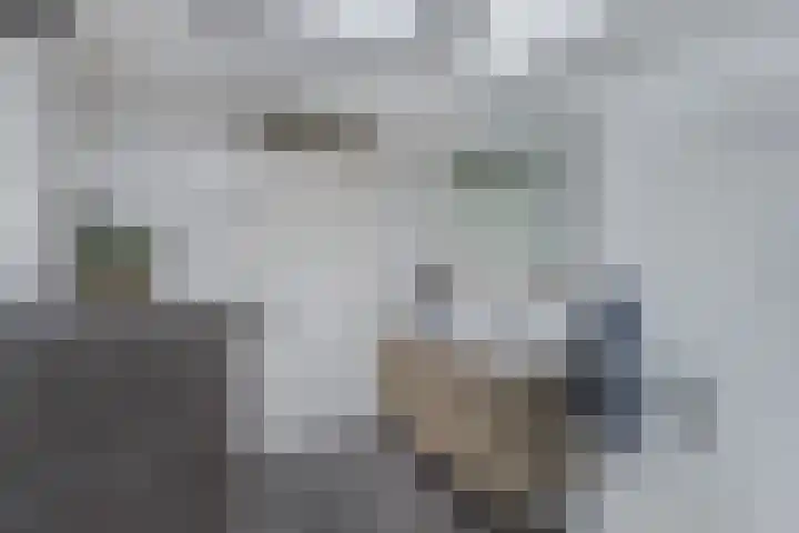 Wendakker 68 Nagele thumbnail 51