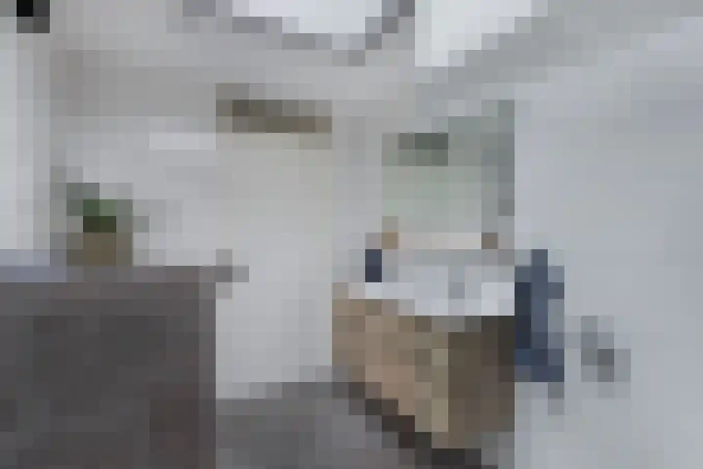 Wendakker 68 Nagele thumbnail 51
