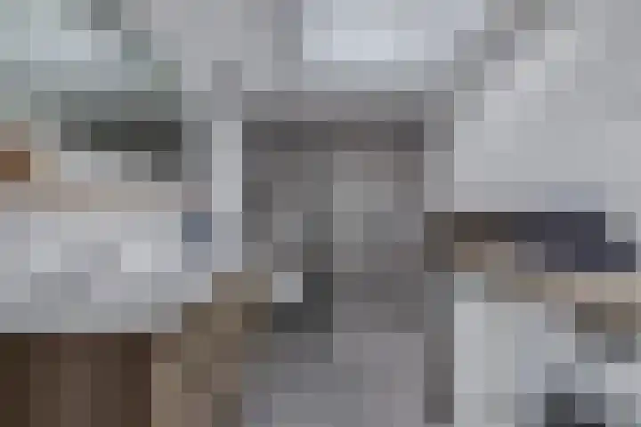Wendakker 68 Nagele thumbnail 7