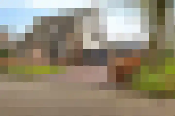 Wendakkers 34 in Dalen