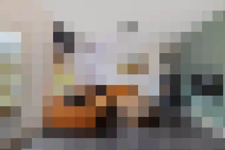 Wendakkers 34 Dalen thumbnail 11