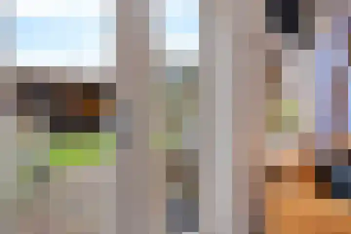 Wendakkers 34 Dalen thumbnail 14