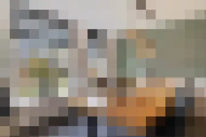 Wendakkers 34 Dalen thumbnail 18