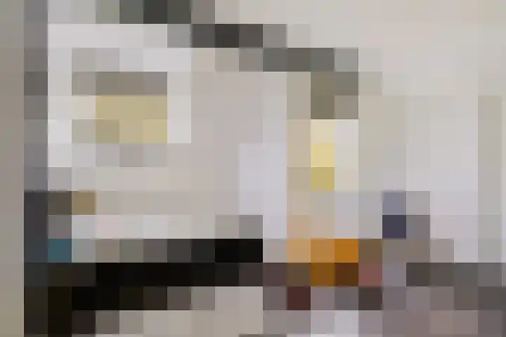 Wendakkers 34 Dalen thumbnail 28