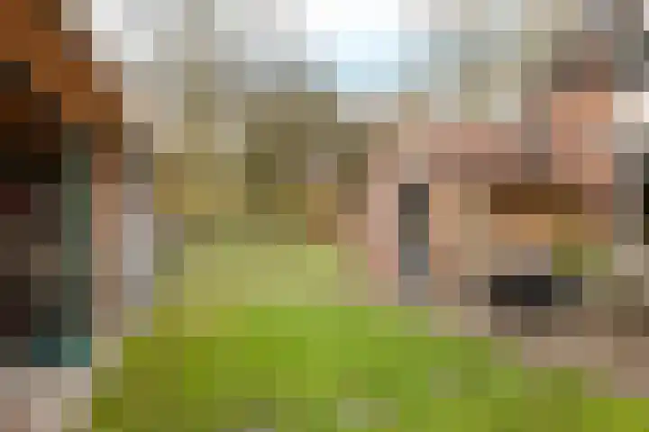 Wendakkers 34 Dalen thumbnail 39