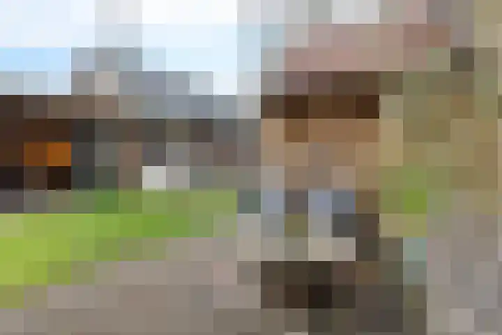 Wendakkers 34 Dalen thumbnail 40
