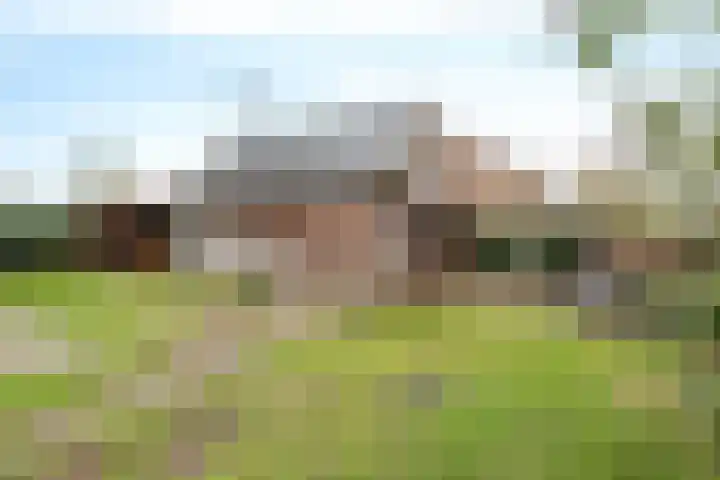 Wendakkers 34 Dalen thumbnail 46